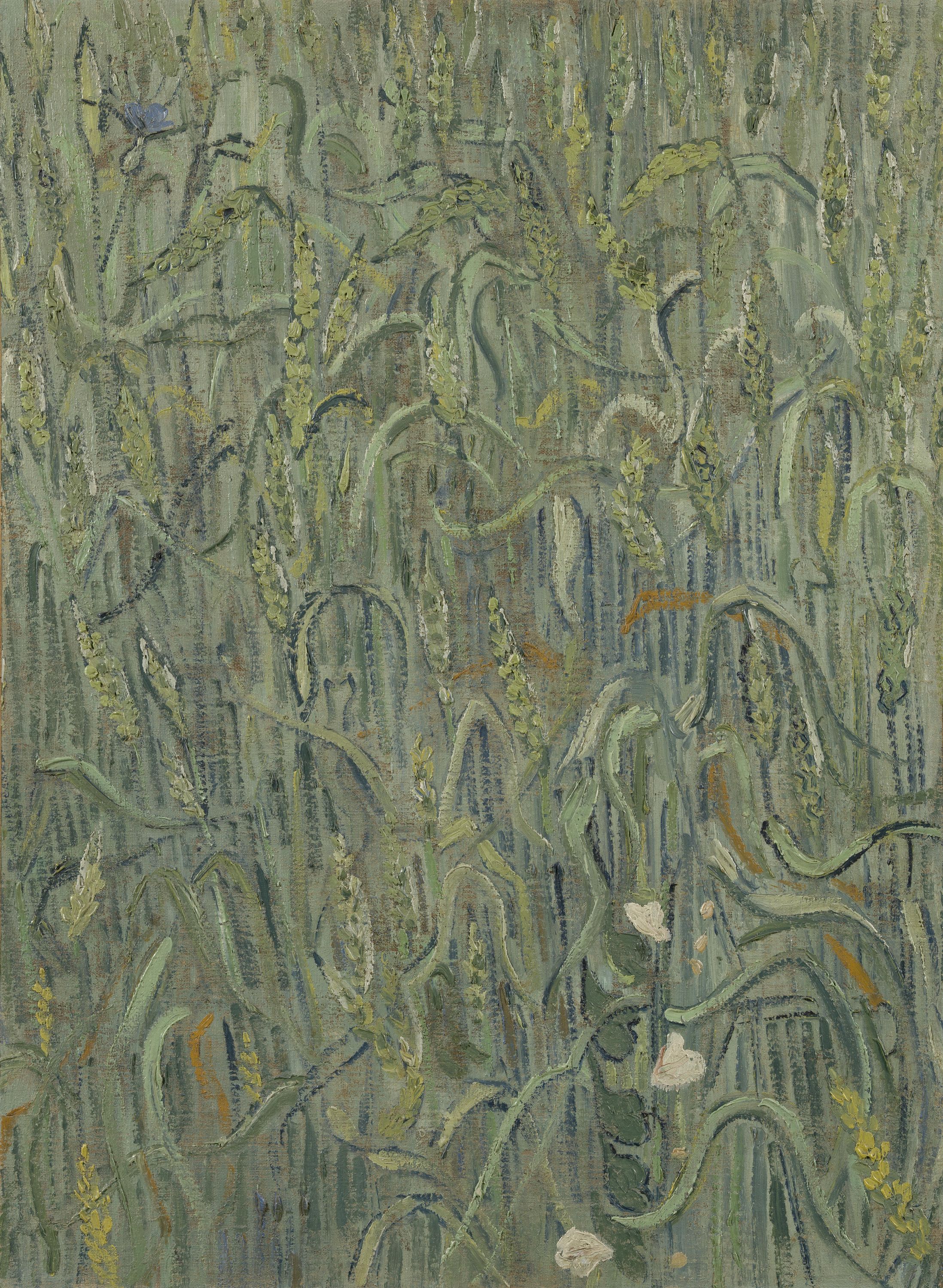 Картина Ван Гога Пшеничные колосья 1890